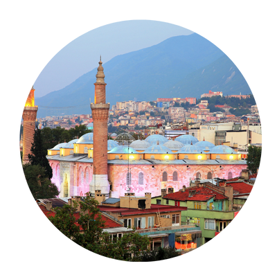 Bursa